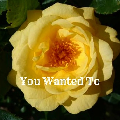 IMG_20180816_171446_691